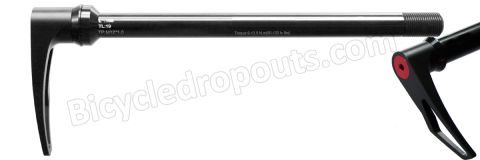 BDTA-204,168mm*ø12*M12x1.0*TL19,Thru axle,Steekas,Axe traversant,Canyon, DT swiss quick release system,Scott, DT, X12