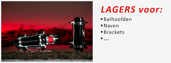 Lagers - bearings